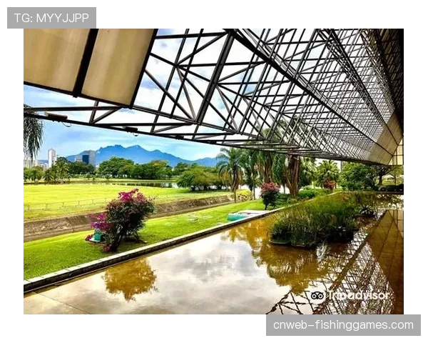 巴列卡诺主场 Campo de Fútbol de Vallecas 启动顶棚扩建工程
